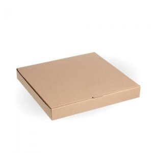 Disposable Box 7x7-100