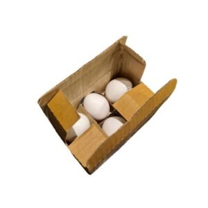 Egg Box-100Pcs