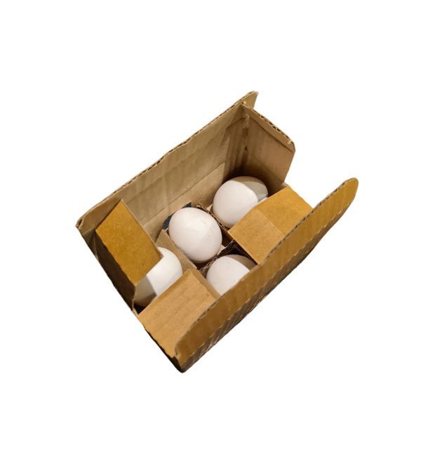 Egg Box-100Pcs