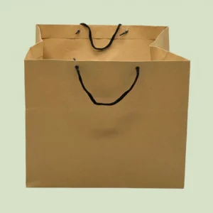 Bag 12.5x12.5x10.5-25 Pcs