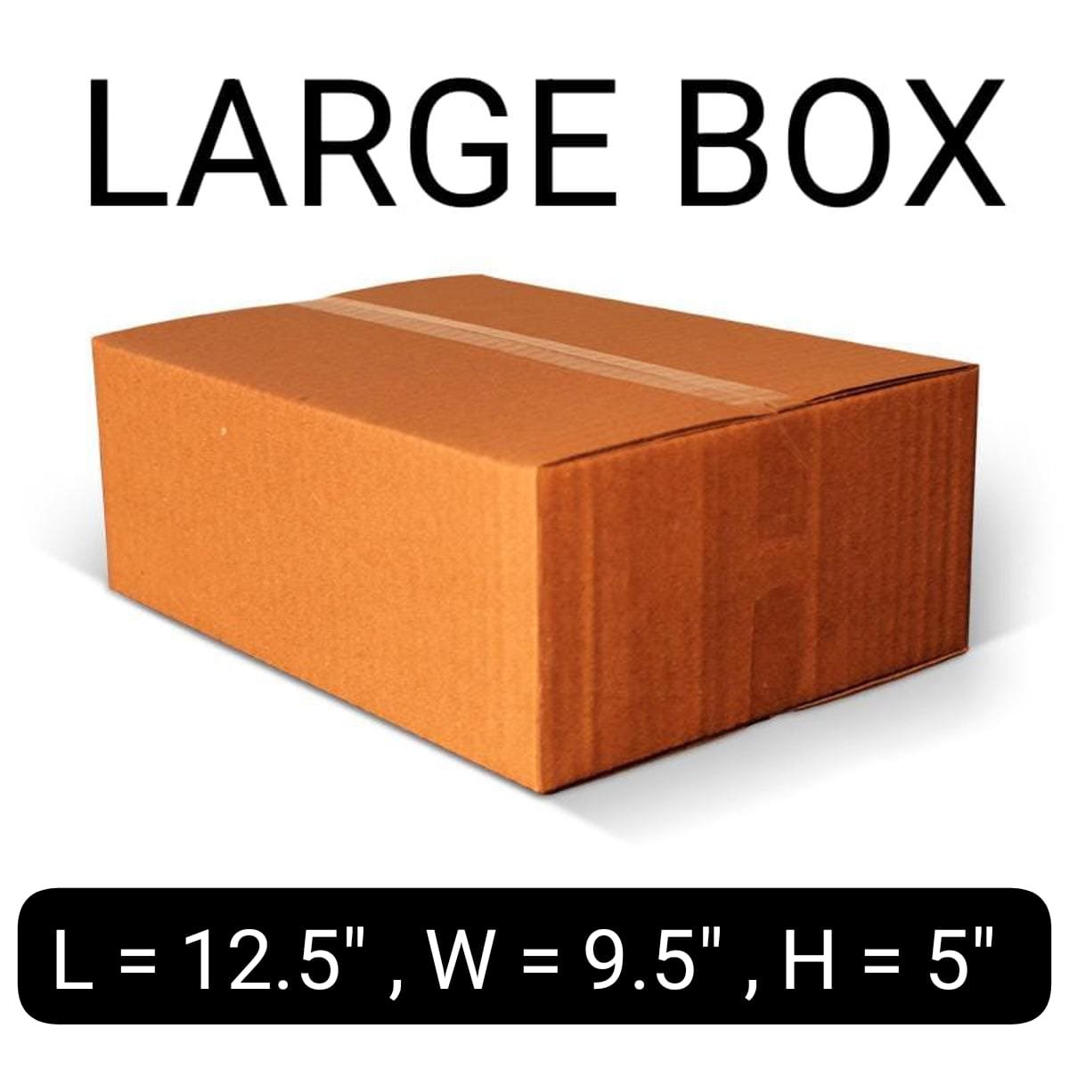 Box (12.5 x 9.5 x 5")-10Pcs