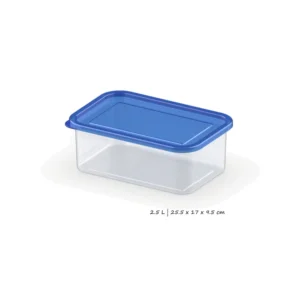 Delight Container 2.5 Litre