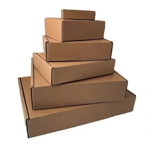 Kraft Box 12x9x3-50 Pcs