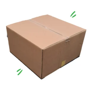 Carton 18x18x10-10Pcs